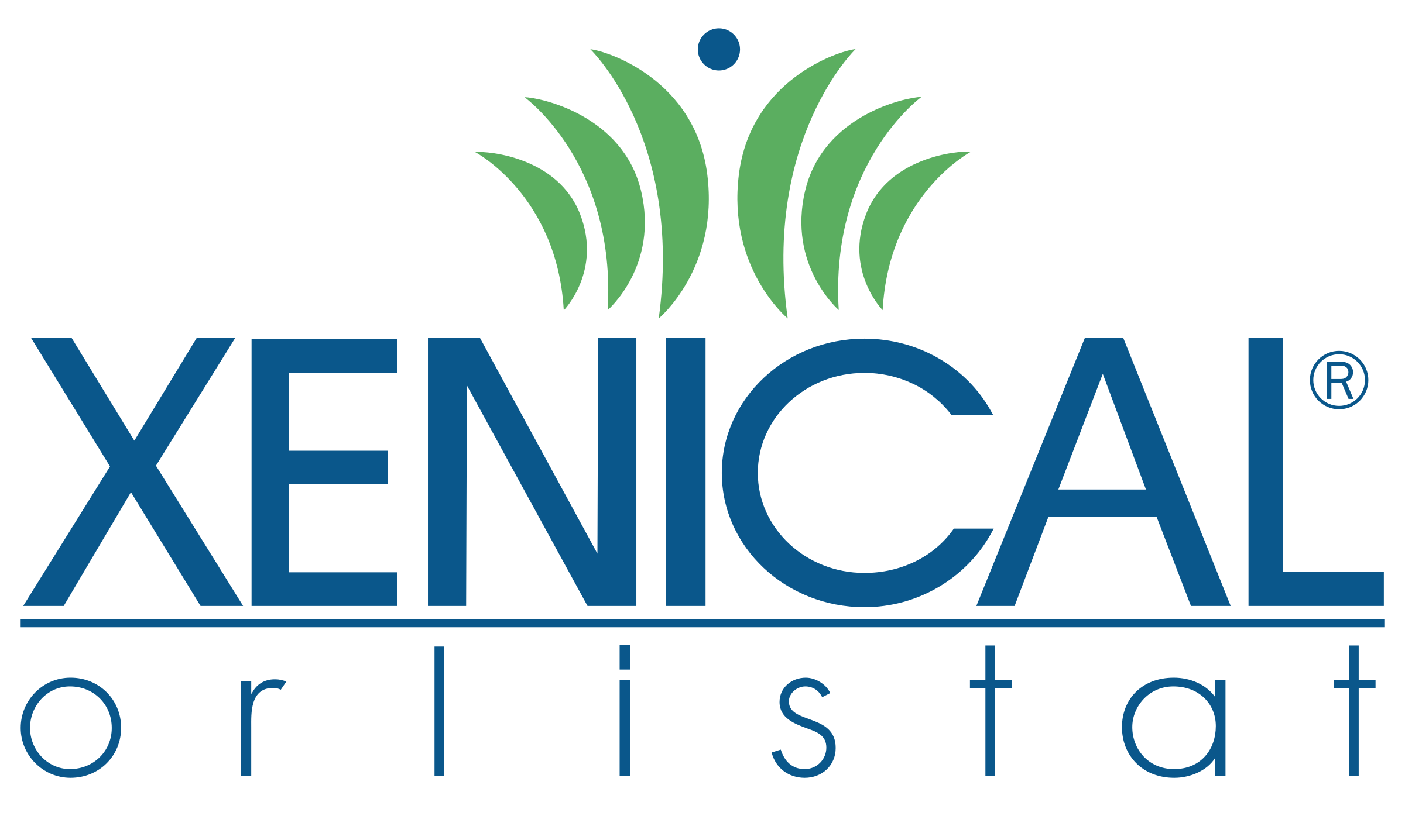 xenical logo png transparent